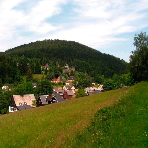 Wildenthal (Ortsteil von Eibenstock); im Hintergrund der Ellbogen (899 m)
