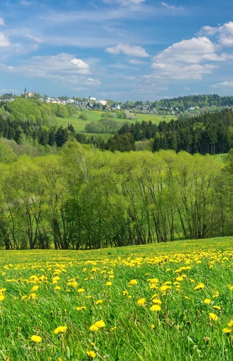 Schöneck Panorama