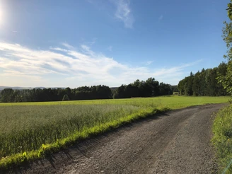 Auf dem Ansprunger Kammweg