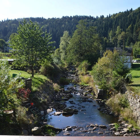 Die Schwarze Pockau im Hinteren Grund