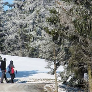 Winterwanderung in Rechenberg-Bienenmühle
