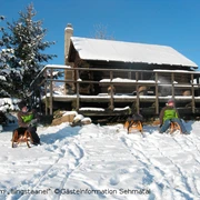 Winterlandschaft bei Sehmatal-Neudorf