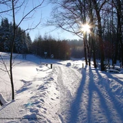 Am Saydaer Winterwanderweg