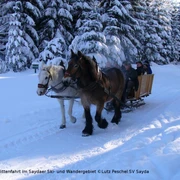 Mit dem Pferdeschlitten unterwegs im Saydaer Ski- und Wandergebiet