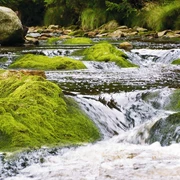 im Tal der Schwarzen Pockau