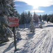 Skimagistrale (Satzung)