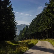 Stümpelweg mit Blick Richtung Fichtelberg