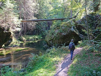 Im grenznahen Gebiet von Hinterhermsdorf