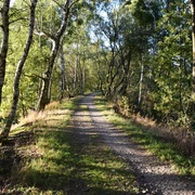 Auf dem alten Damm der ehem. Kleinbahn (Auerbacher Rundwanderweg)