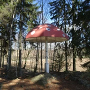 Gelenauer Fliegenpilz