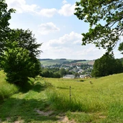 Blick auf Burkhardtsdorf