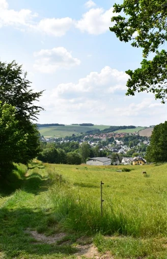 Blick auf Burkhardtsdorf
