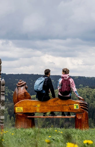 Aussicht auf Holzhau
