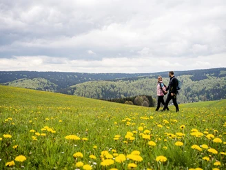 Maiblumenwiese bei Holzhau