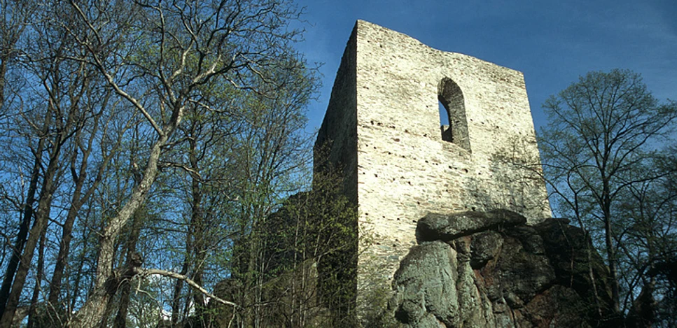Burgsteinruine