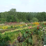 Gartenvielfalt