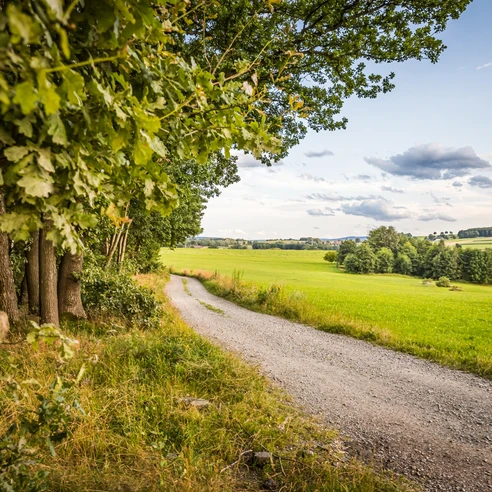 Stollberger Feldradrunde