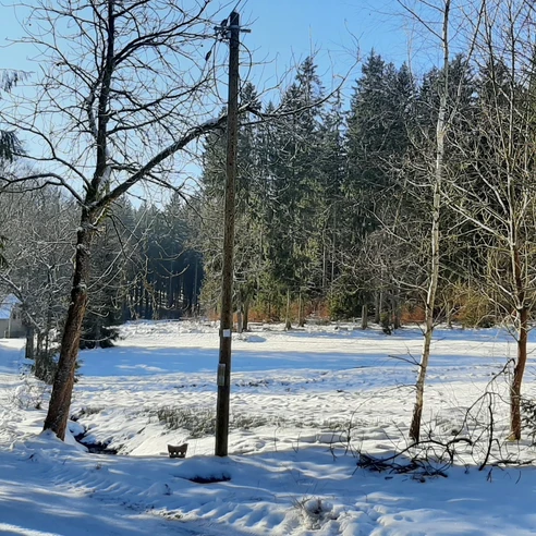 An der Quelle Bad Reiboldsgrün im Winter