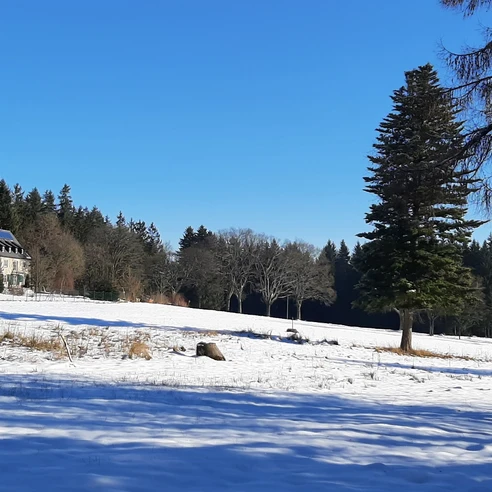 Winter in Bad Reiboldsgrün