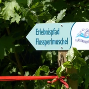 Erlebnispfad Flussperlmuschel