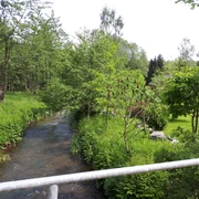 Am Pöhlwasser in Kühberg
