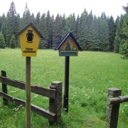 Himmelswiese im NSG Halbemeile