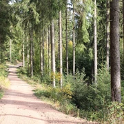 Pionierweg zum Christelgrund zwischen Thalheim und Zwönitz