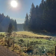 Zinsbachtal am Jungfernsprung