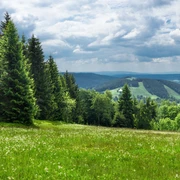 Vogtland