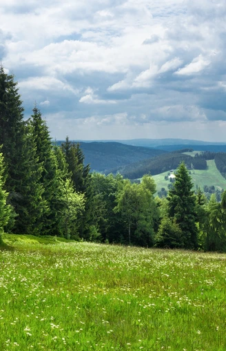 Vogtland