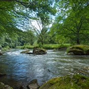 Die Weiße Elster bei Rentzschmühle