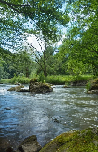 Die Weiße Elster bei Rentzschmühle