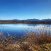 Olbersdorfer See