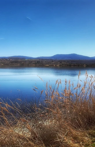Olbersdorfer See
