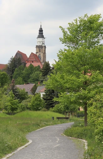 St. Marienkirche Kamenz von Herrental kommend