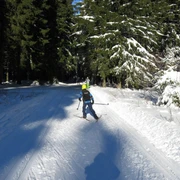 Langlauf Geyerscher Wald