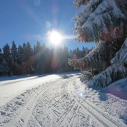 Langlauf Geyer
