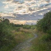 Weg im Sonnenuntergang