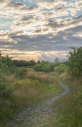Weg im Sonnenuntergang