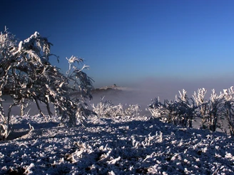 Blick vom Ahornberg zum Schwartenberg