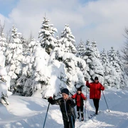Auf der schneesicheren Schwartenbergloipe