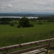 Blick von der Kirschallee auf den Berzdorfer See
