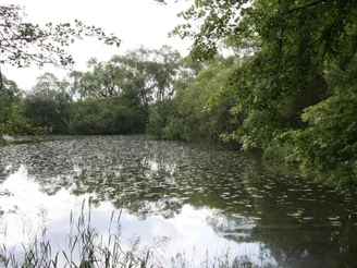 Neißesee in Görlitz