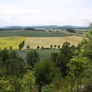 Ausblick vom Knorrberg