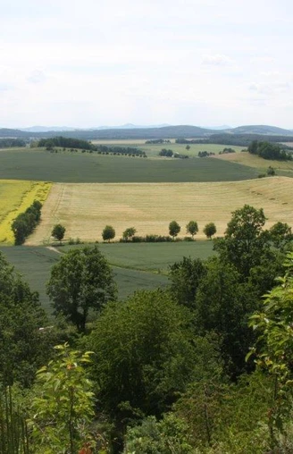 Ausblick vom Knorrberg
