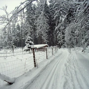 Spitzbergrunde/Sohland