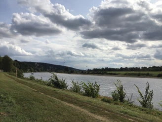 Blick vom Elberadweg Richtung Fernsehturm