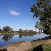 Elbe bei Niedergohlis