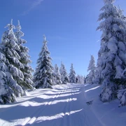 Kammloipe