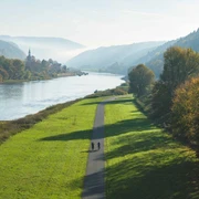 Panoramablick von der Stadtbrücke auf Bad Schandau mit dem Elberadweg